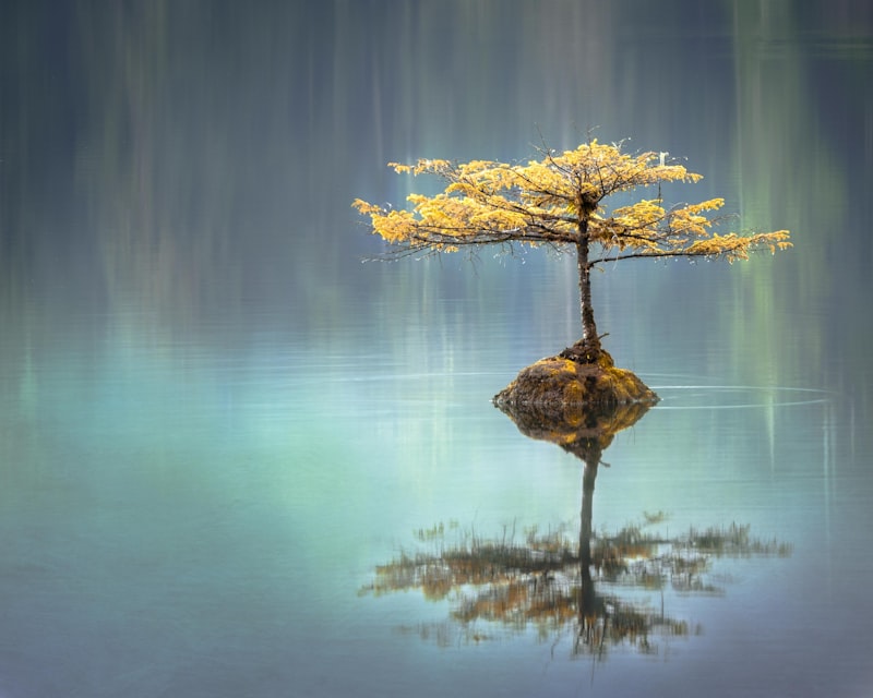 Insomnia sleep hypnosis Dallas